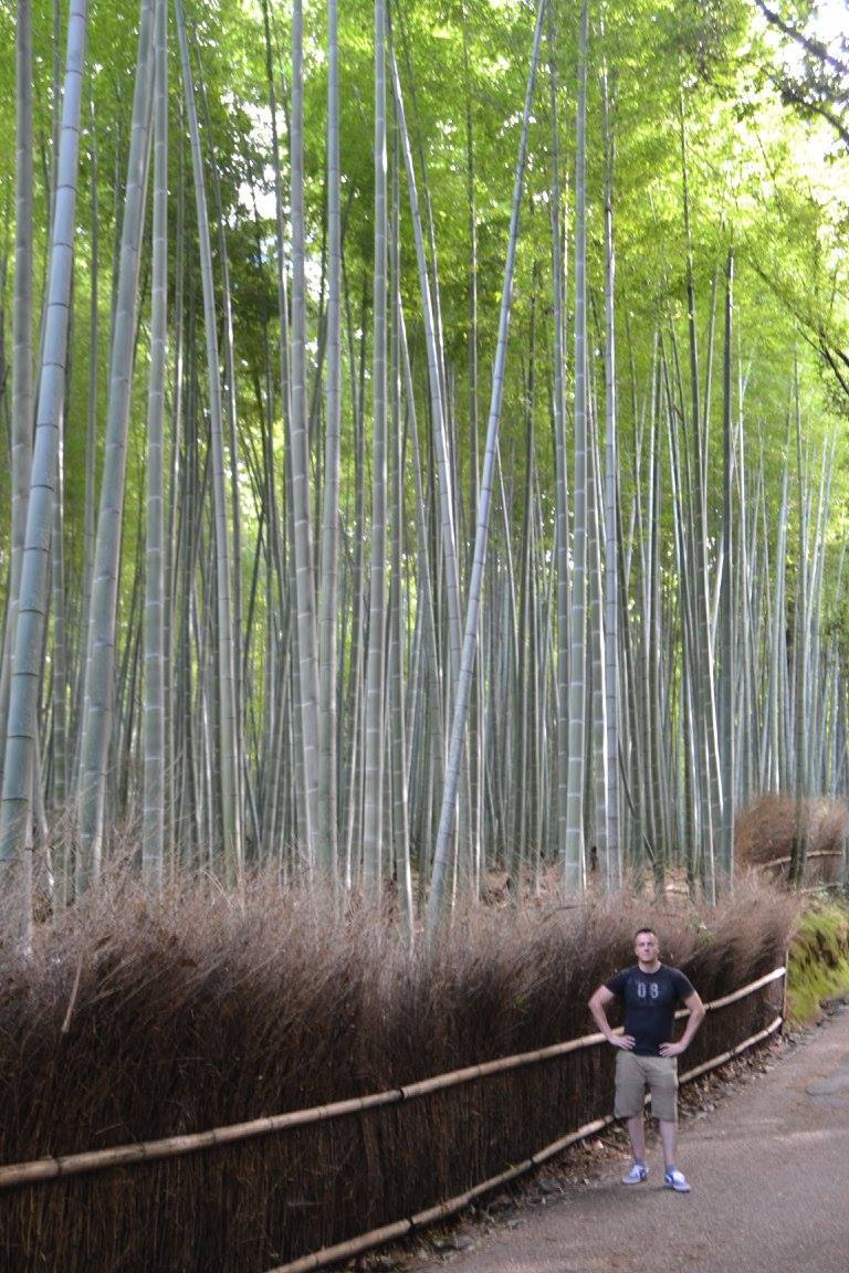 Bosque Bambu Arashiyama, Kyoto, Japon