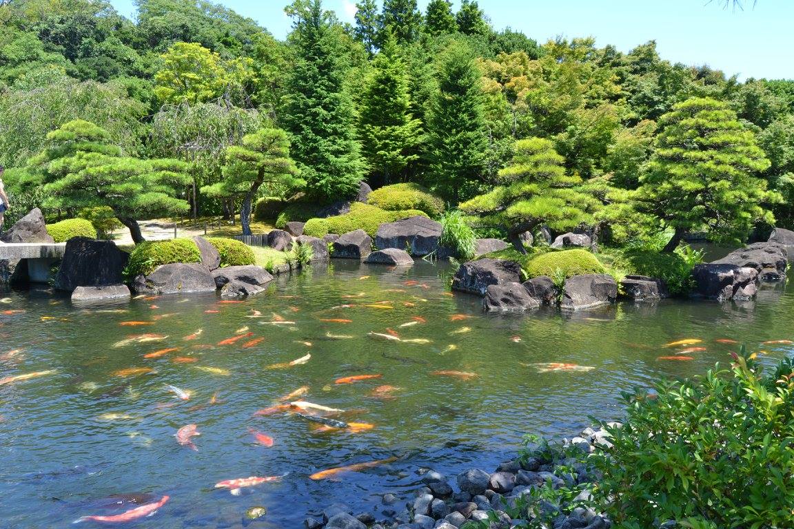 Jardines Kokoen, Himeji, Japon
