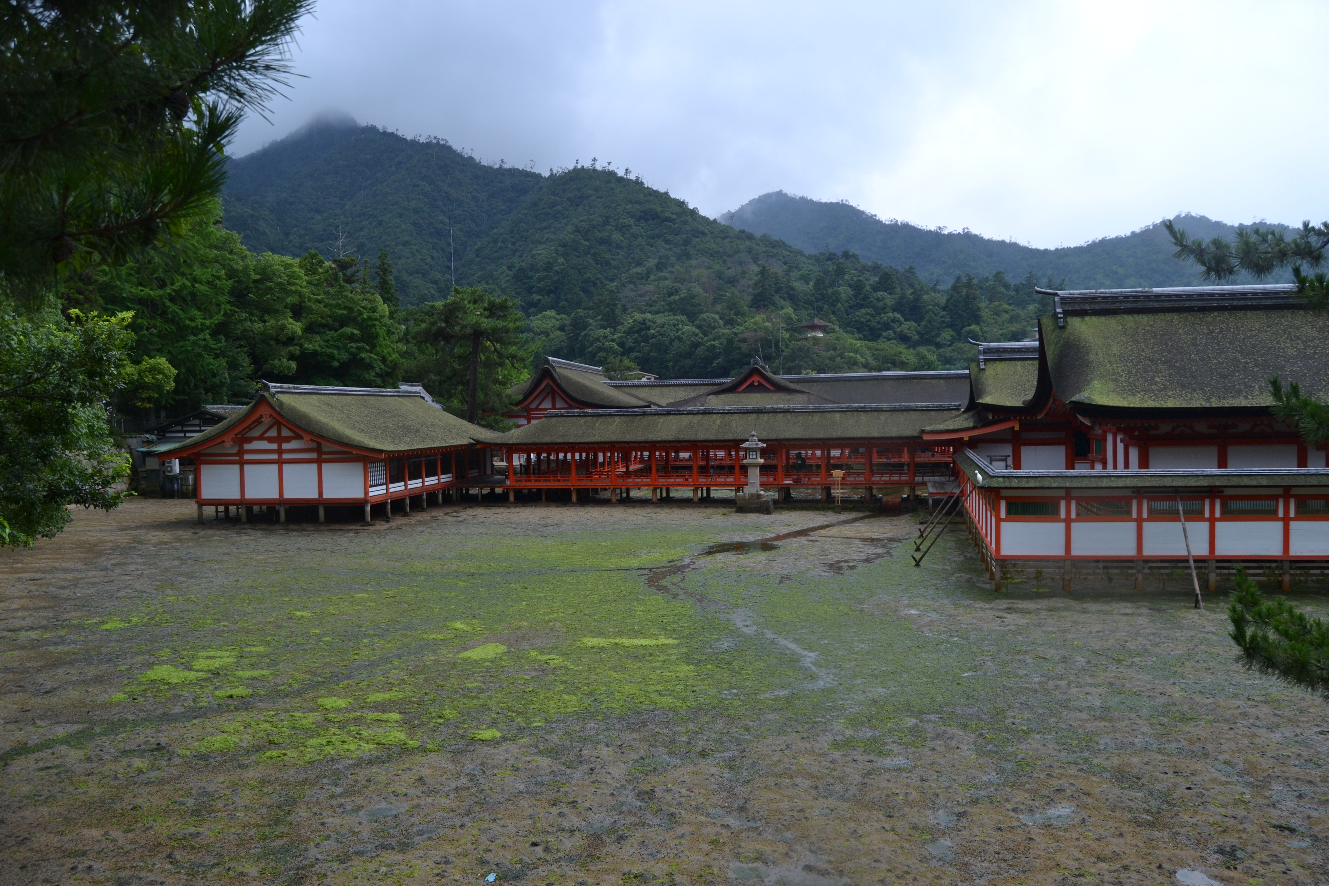 Santuario Itsukhusima, Miyahima, Japon