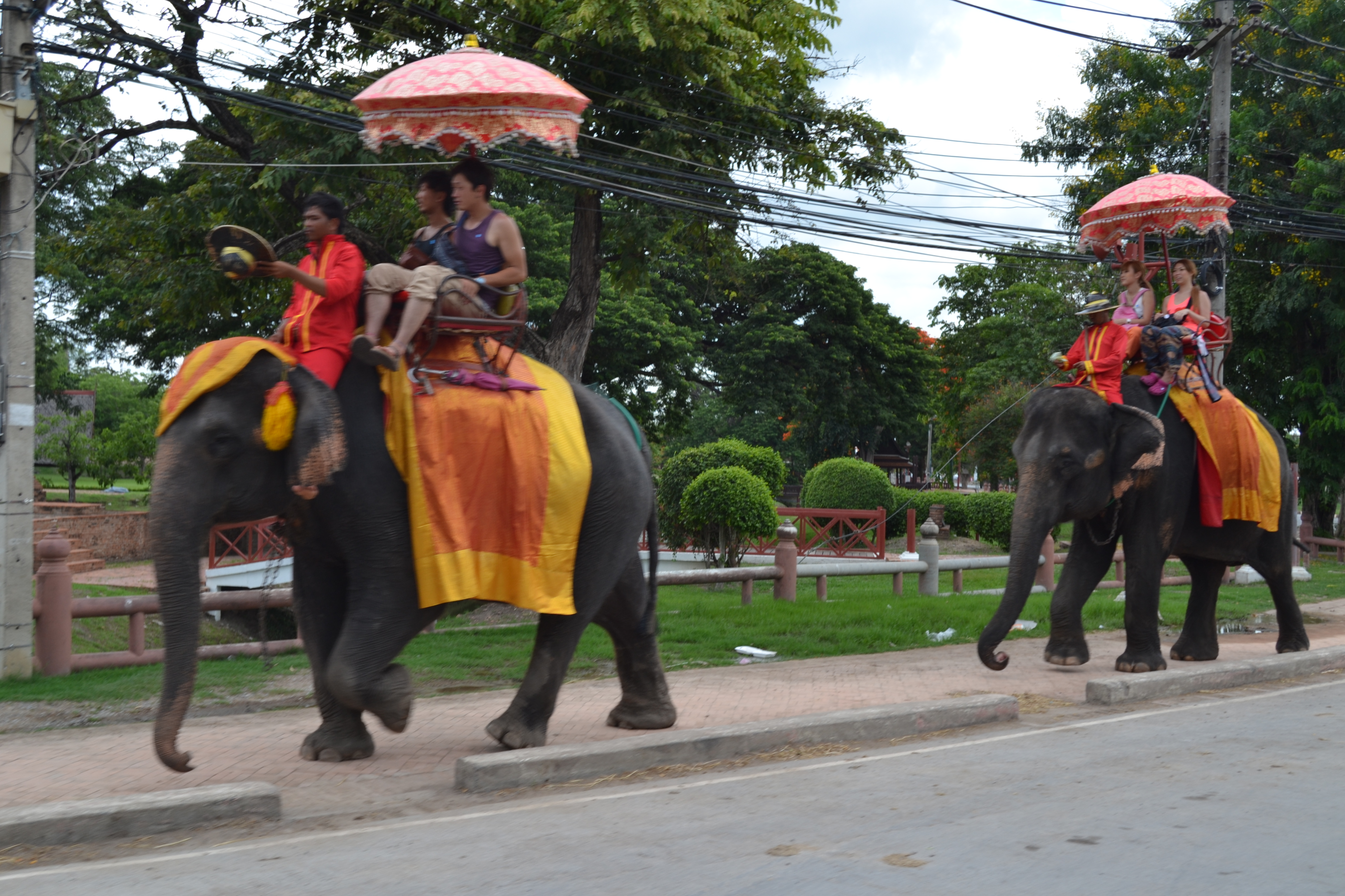 Elefante, Ayyuthaya, Tailandia