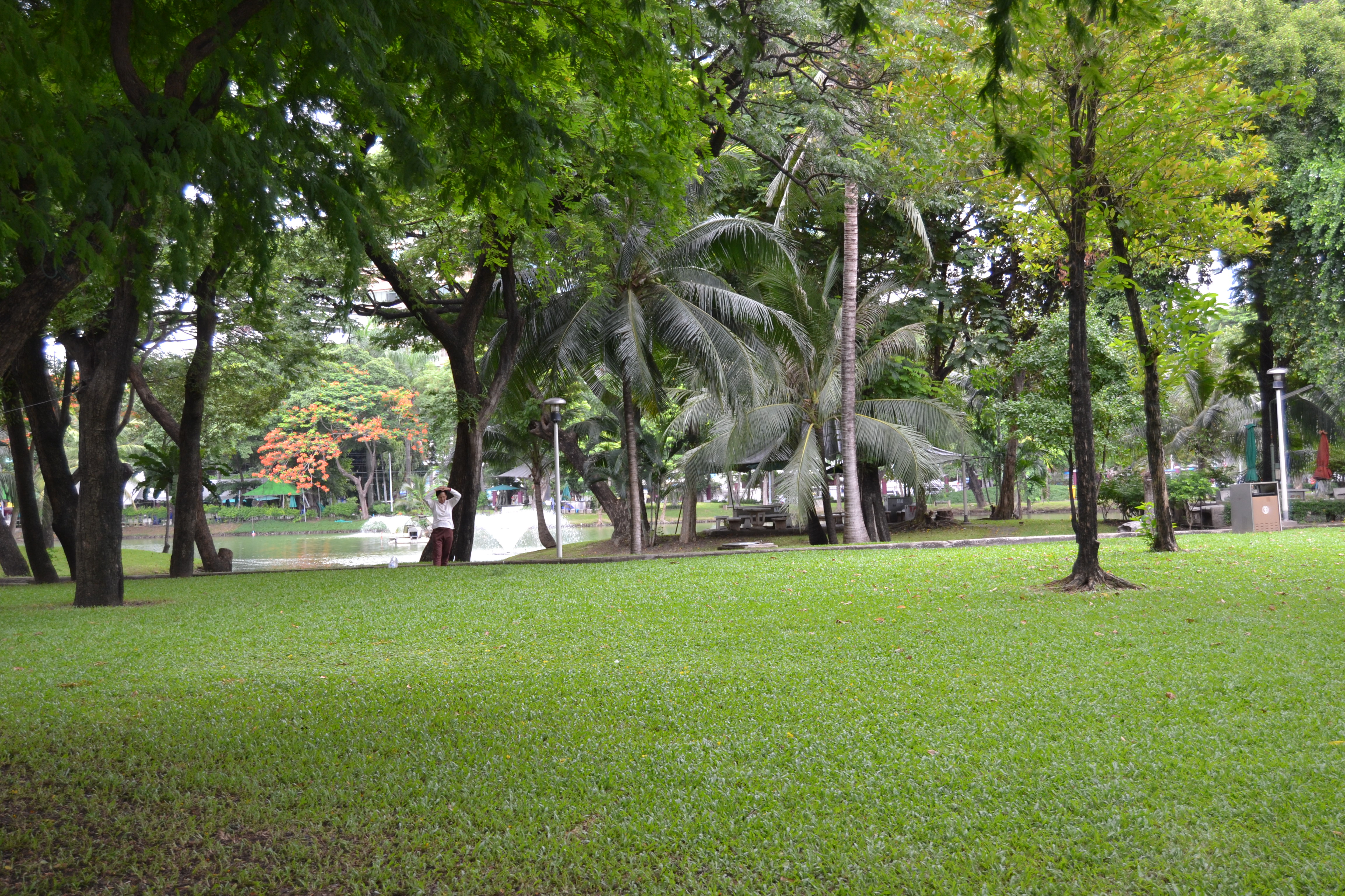 Parque Lumphini, Bangkok, Tailandia
