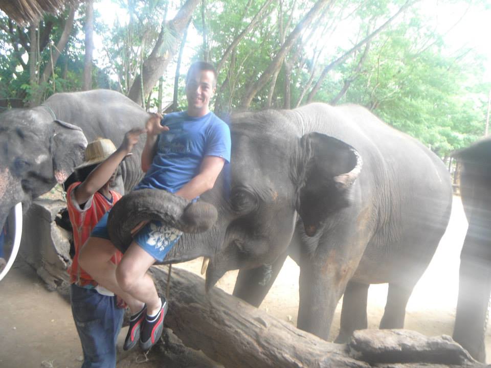 Maesa Elephant Camp, Chiang Mai, Tailandia