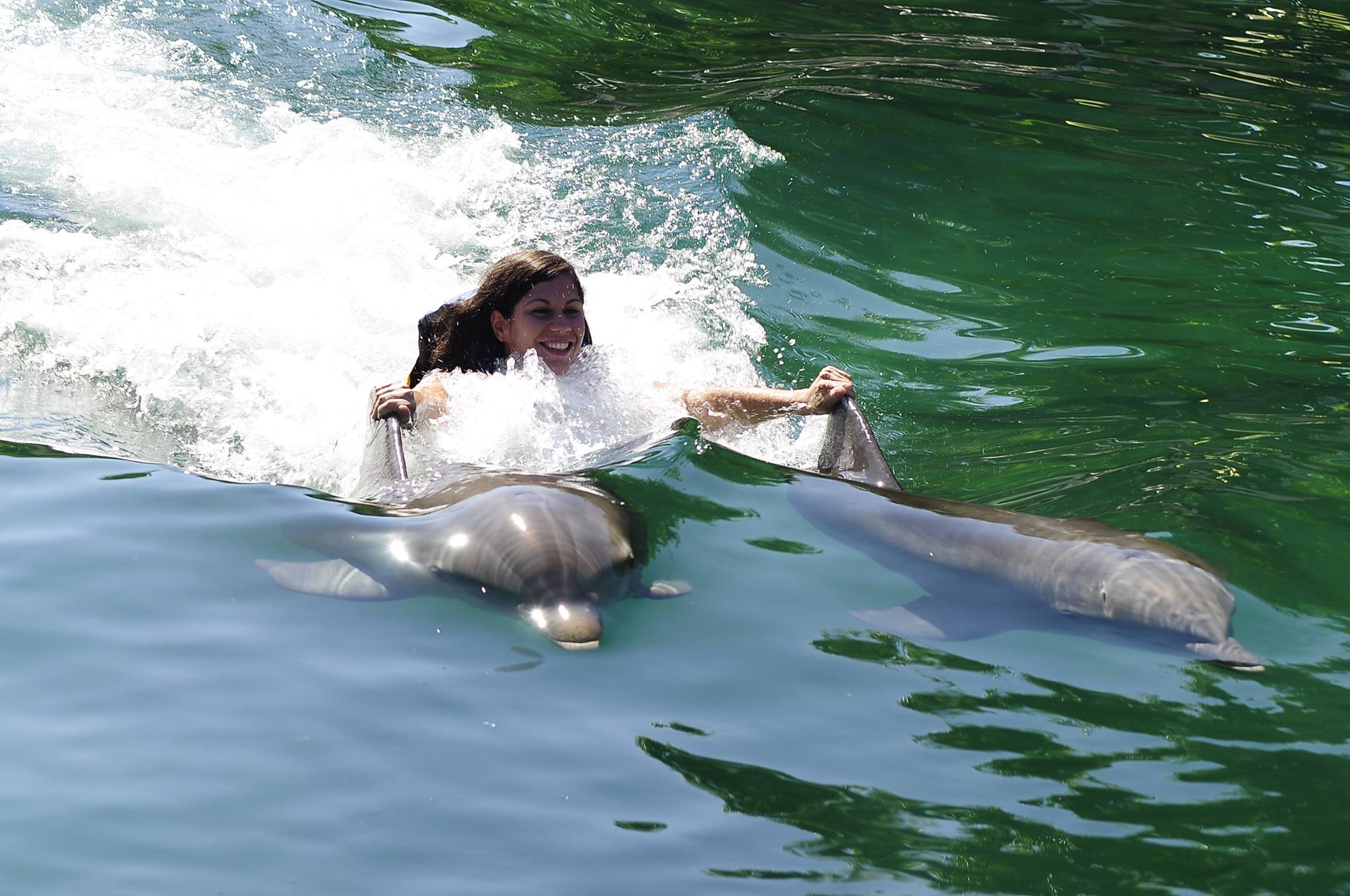 Dolphin Discovery, Riviera Maya, Mexico