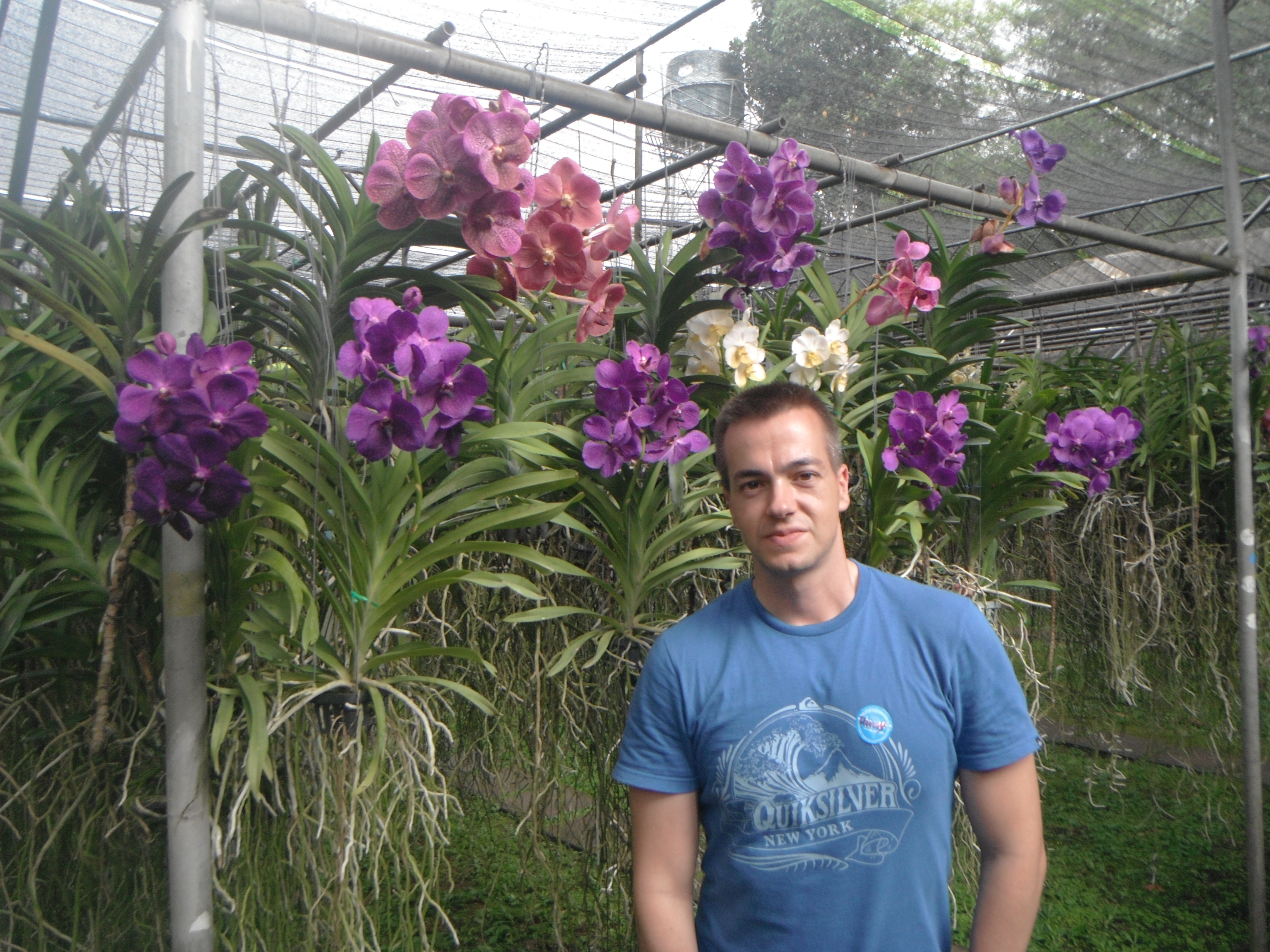 Granja de Orquídeas, Chiang Mai, Tailandia