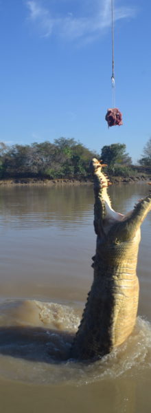 Diario Australia – Julio-Agosto 2016: Días 1-3: Darwin, Litchfield, Kakadu, Mary River