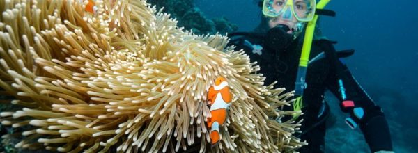 Diario Australia – Julio-Agosto 2016: Días 4-6: Wooroonoonan, Atherton Tablelands, Cairns, Fitzroy Island