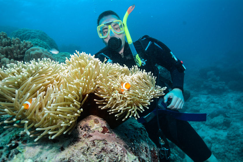 Gran Barrera de Coral, Cairns, Australia