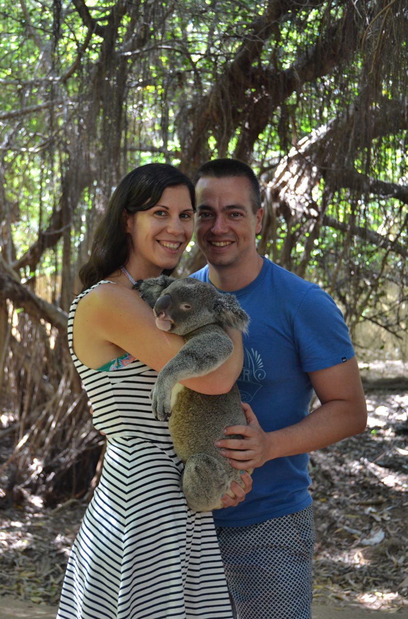 Koala, Bungalow Bay Koala Village, Magnetic Island, Australia