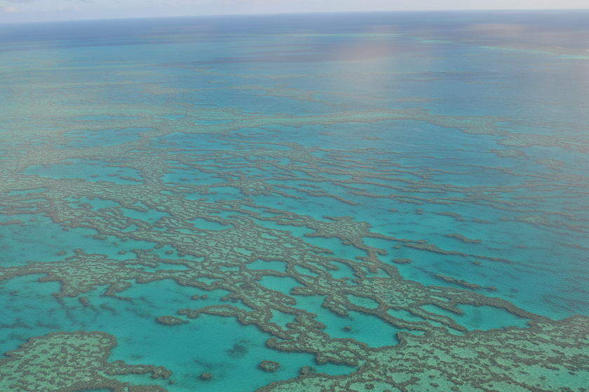 Gran Barrera de Coral Great Barrier Reef, Australia