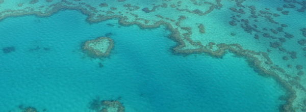 Diario Australia – Julio-Agosto 2016: Días 8-9: Airlie Beach, Whitsunday Islands, Whiteheaven Beach