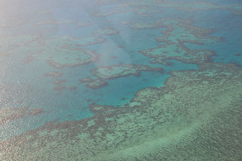 Gran Barrera de Coral Great Barrier Reef, Australia