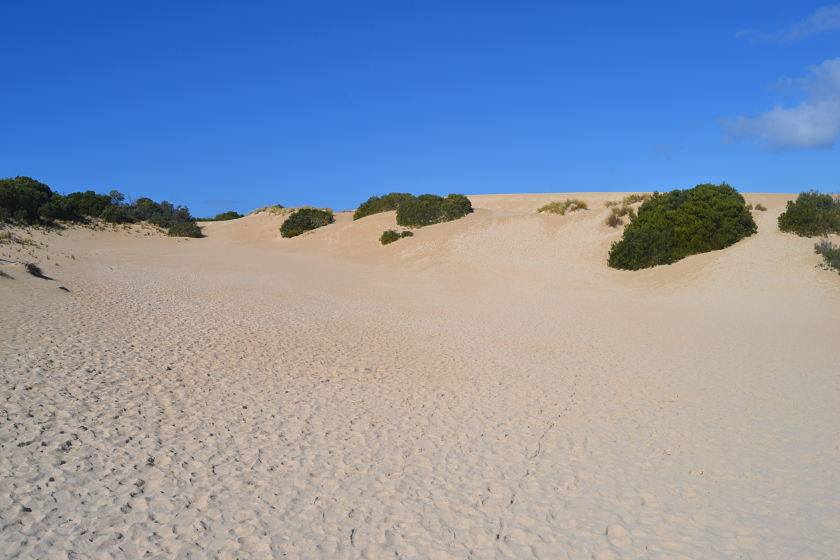 Little Sahara, Kangaroo Island, Australia