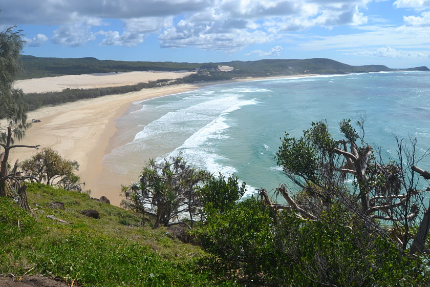 Diario Australia – Julio-Agosto 2016: Días 14-16: Hervey Bay: Shelly Beach, Fraser Island, Avistaje Ballenas
