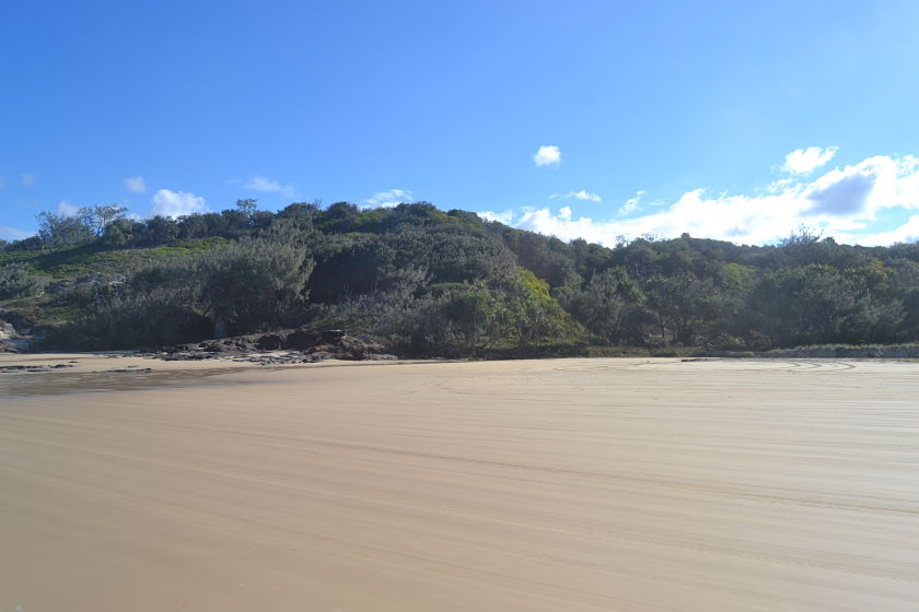 75 Mile Beach, Fraser Island, Australia