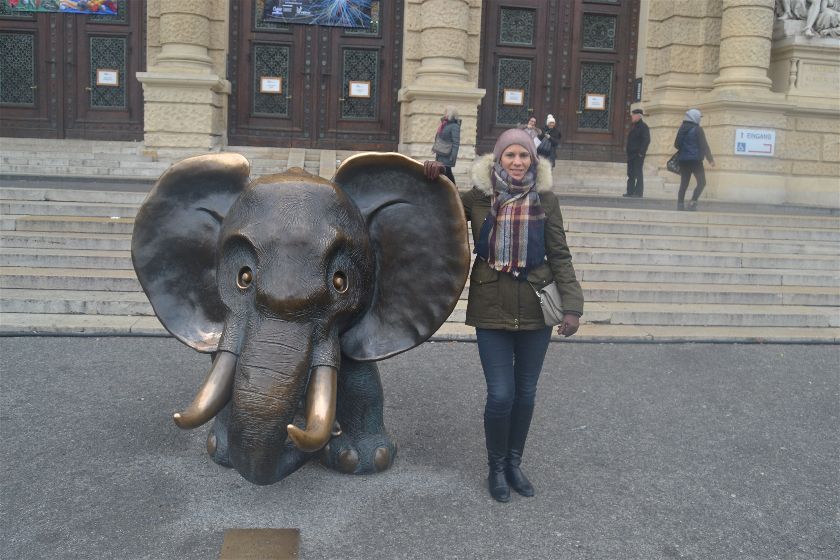 Elefante (Museo de Historia Natural), Viena, Austria