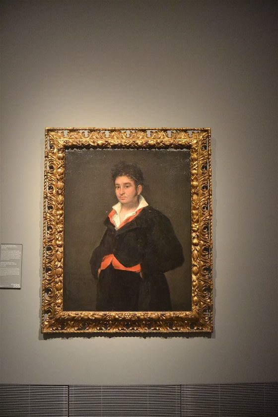 Retrato de Ramón Satué (Goya), Rijksmuseum, Amsterdam, Paises Bajos