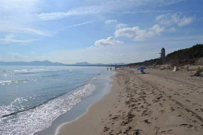 Diario Mallorca (Septiembre 2018): Día 8: Playa de Muro, Alcudia, Llubi