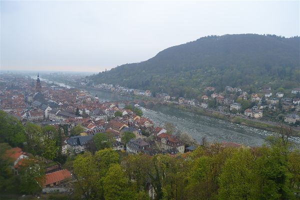 Hortus Palatinate, Heidelberg, Alemania