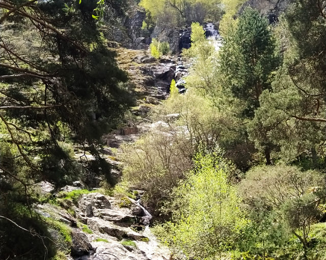 Ruta a la Chorrera de Mojonavalle (Puerto de Canencia), Garganta de los Montes y El Cuadrón