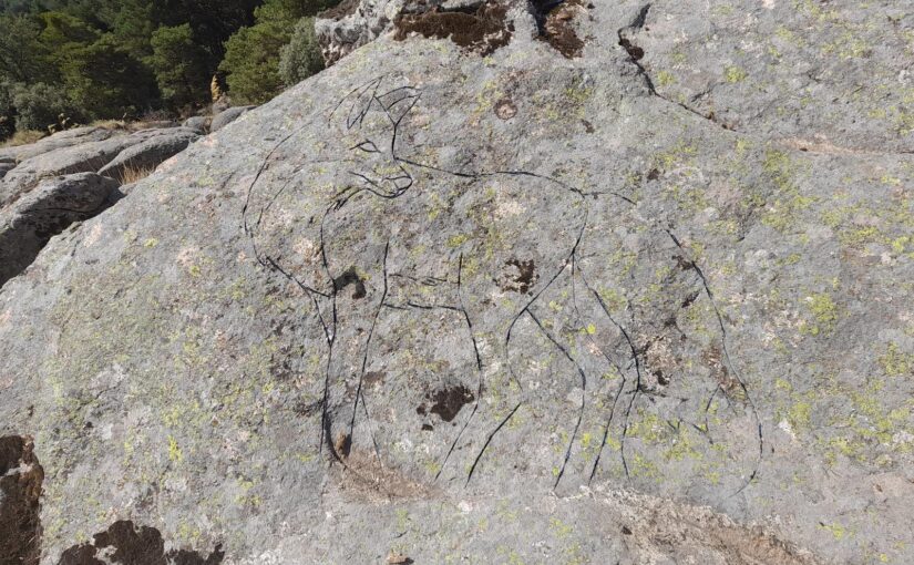 Rocas de Laín, Fuente de los Acebos y Petroglifos (Dragón, Zorro y Lobo) desde Camorritos (Cercedilla)