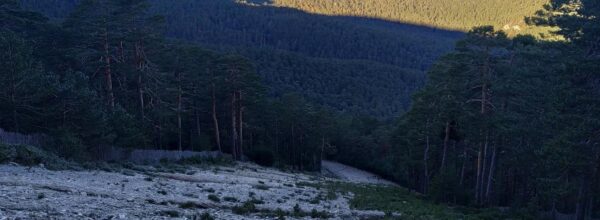 Camino Schmidt, Collado Ventoso, Mirador de la Reina, Senda de los Cospes (Puerto de Navacerrada a Puerto de la Fuenfría)