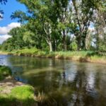 Parque Regional de Las Islillas (Mejorada del Campo)