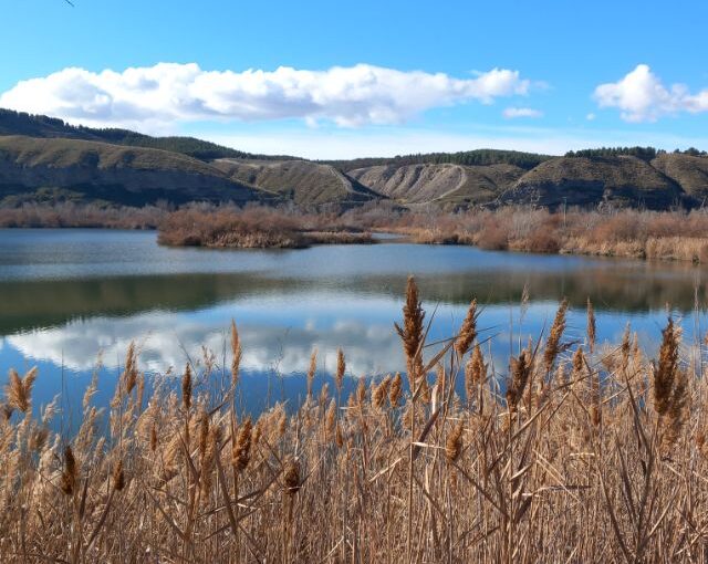 Lagunas de Velilla de San Antonio