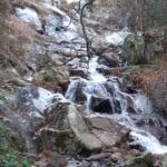 Chorrera de Mojonavalle, Tejo de La Senda, Tejo y Chorrera del arroyo del Sestil de Maillo, Acebo del Puerto (Puerto Canencia)
