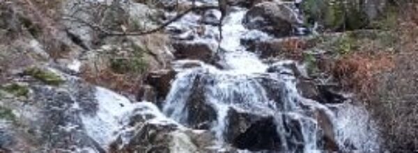 Chorrera de Mojonavalle, Tejo de La Senda, Tejo y Chorrera del arroyo del Sestil de Maillo, Acebo del Puerto (Puerto Canencia)